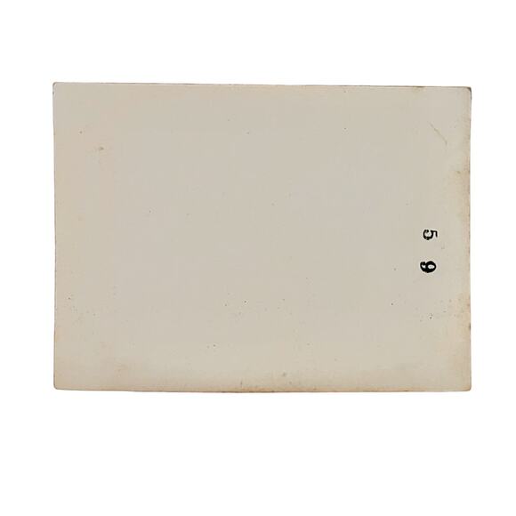 Vtg B&W Photo 1940s Found Seal Island Seals Swimming Ocean Animalcore Snapshot - Picture 2 of 4